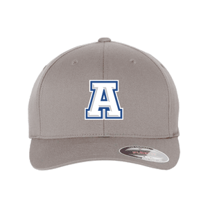 Auburn Baseball Hat
